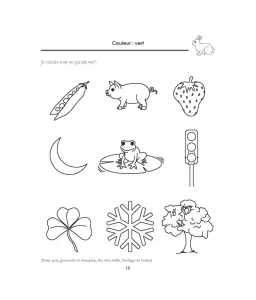 Cahier de notions de bases 1 - Moyenne Section