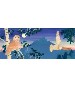 Chants d'oiseaux de la forêt - Mon petit livre sonore