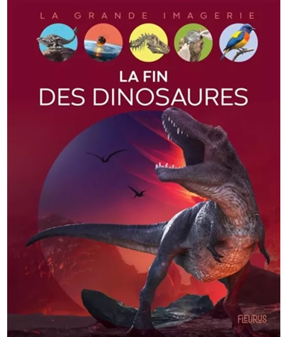 La fin des dinosaures - La Grande Imagerie
