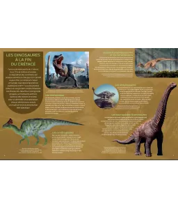 La fin des dinosaures - La Grande Imagerie
