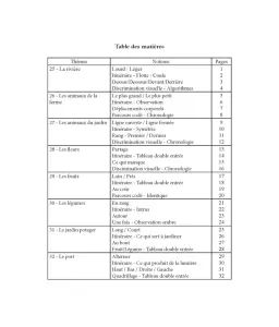 Cahier de notions de bases 3 - Grande Section