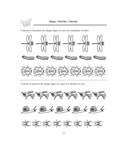Cahier de notions de bases 3 - Grande Section