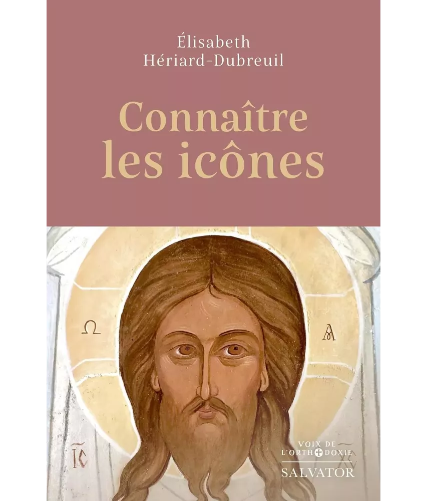 Connaître les icônes