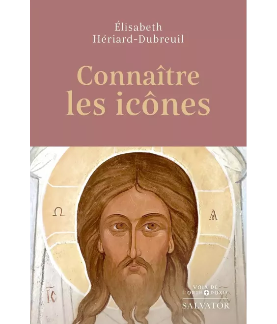 Connaître les icônes