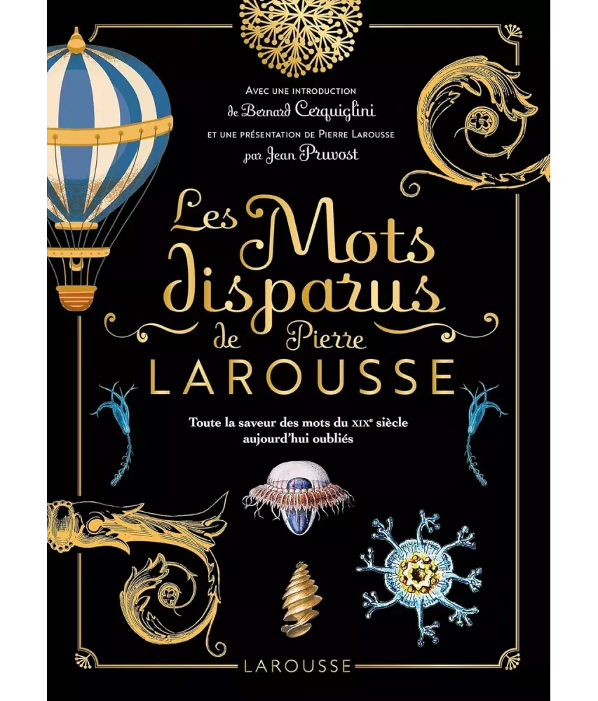 Les Mots disparus de Pierre Larousse - Toute la saveur des mots du XIX° siècle aujourd'hui oubliés