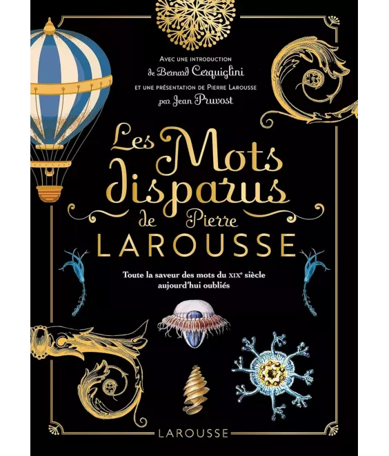 Les Mots disparus de Pierre Larousse - Toute la saveur des mots du XIX° siècle aujourd'hui oubliés