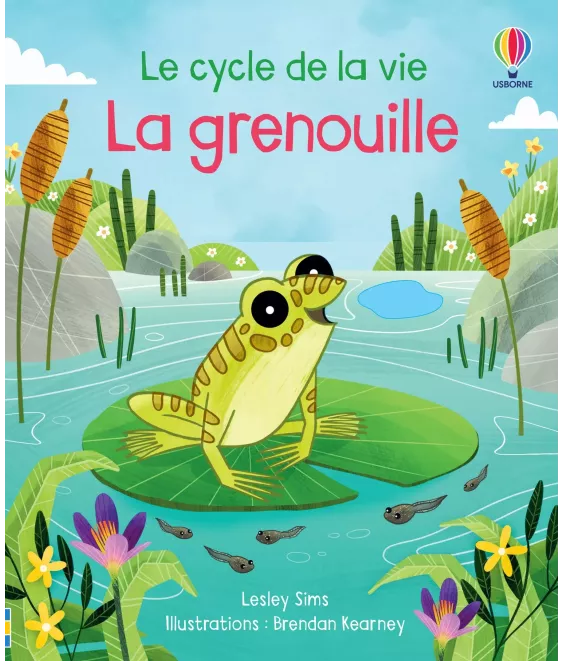 La Grenouille - Le cycle de la vie