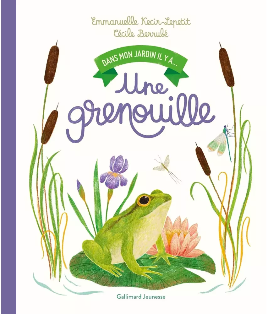 Dans mon jardin il y a une grenouille