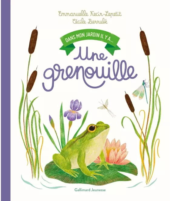 Dans mon jardin il y a une grenouille