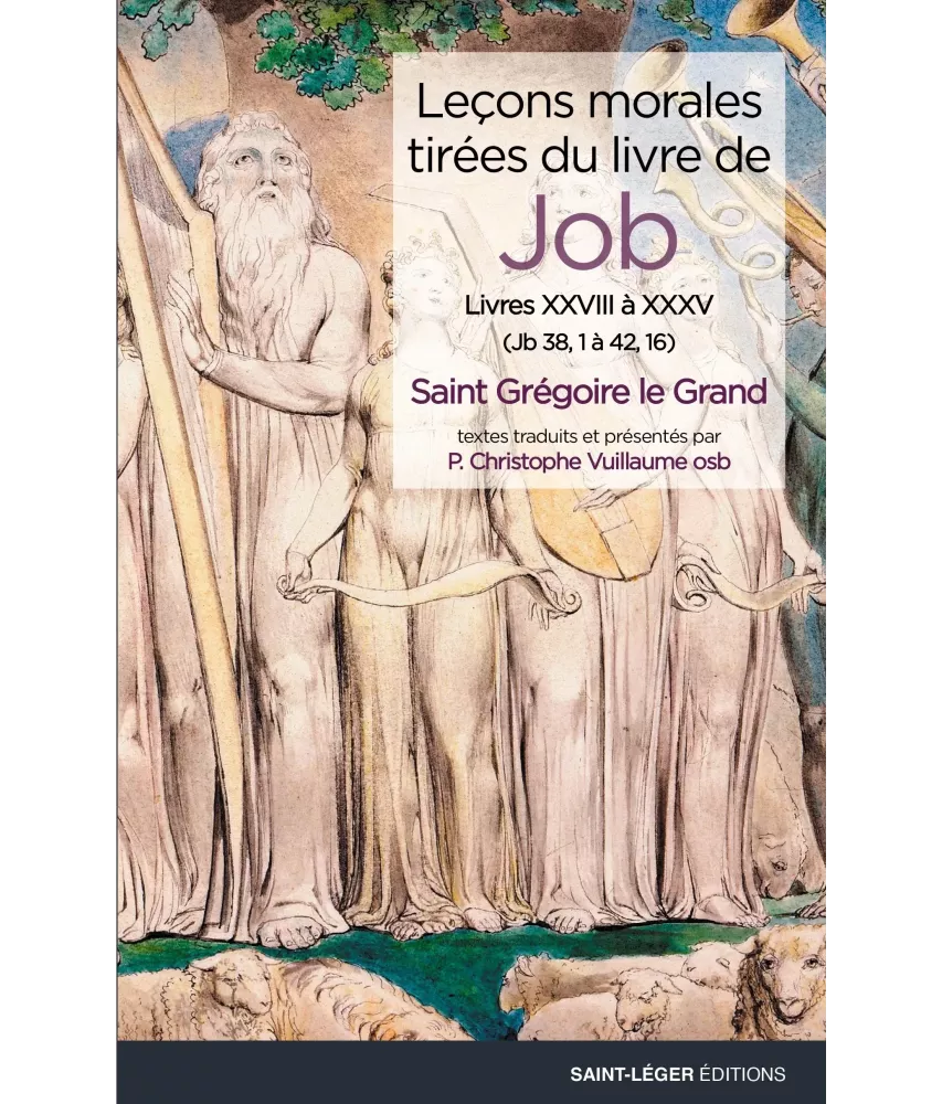 Leçons morales tirées du livre de Job - Tome 7 - Livres XXVIII à XXXV