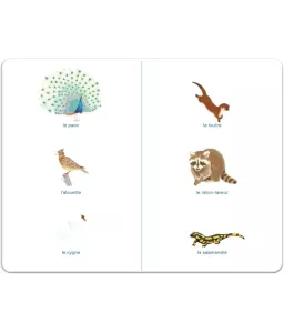Mon imagier des animaux