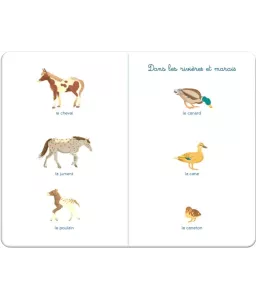 Mon imagier des animaux