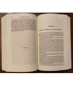 Dictionnaire d'exemples à l'usage des prédicateurs & des catéchistes - 5 volumes
