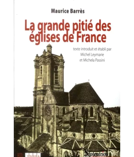 La grande pitié des églises de France