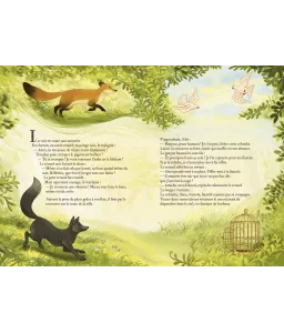 Un Coeur de Renard ou la naissance des aurores boréales