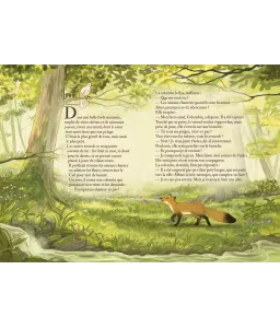 Un Coeur de Renard ou la naissance des aurores boréales