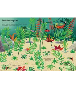 L'aquarium - Mes petits autocollants Usborne
