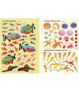 L'aquarium - Mes petits autocollants Usborne