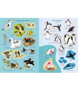 Les Oiseaux - Mes petits autocollants Usborne