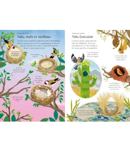 Les Oiseaux - Mes petits autocollants Usborne