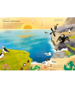 Les Oiseaux - Mes petits autocollants Usborne