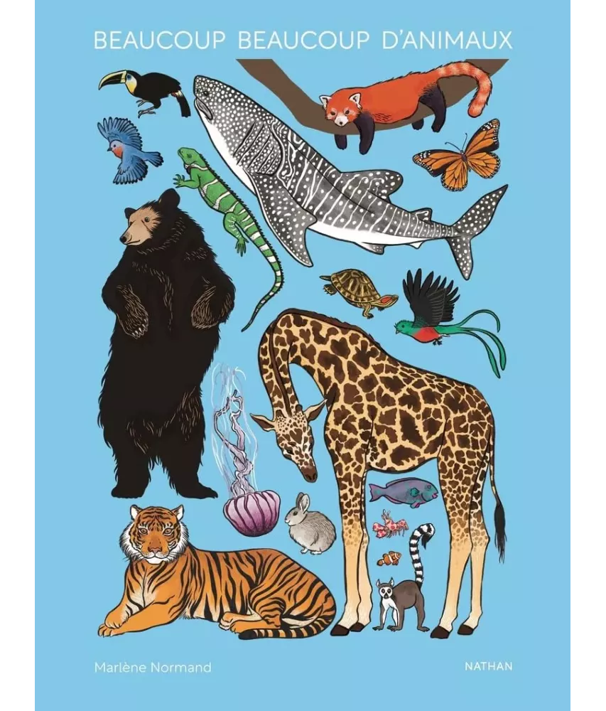 Beaucoup beaucoup d'animaux - Grand bestiaire illustré avec 2500 espèces
