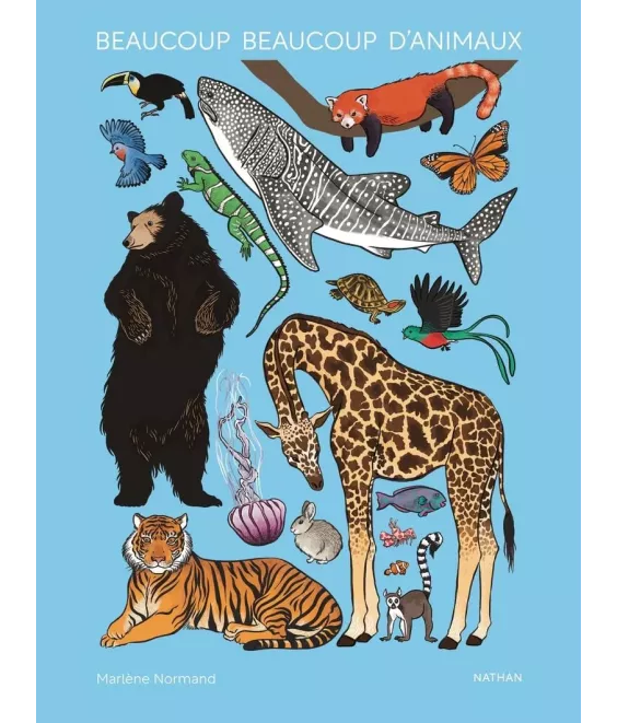 Beaucoup beaucoup d'animaux - Grand bestiaire illustré avec 2500 espèces