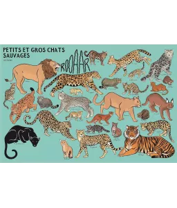 Beaucoup beaucoup d'animaux - Grand bestiaire illustré avec 2500 espèces