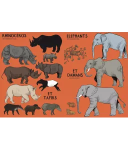 Beaucoup beaucoup d'animaux - Grand bestiaire illustré avec 2500 espèces