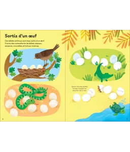 Les bébés animaux - Mes petits autocollants Usborne