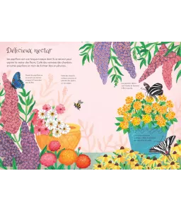 Les papillons - Mes petits autocollants Usborne