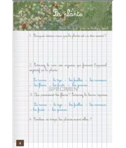 Sciences d'observation - Cahier d'activités CM - T1 - Les plantes et les animaux