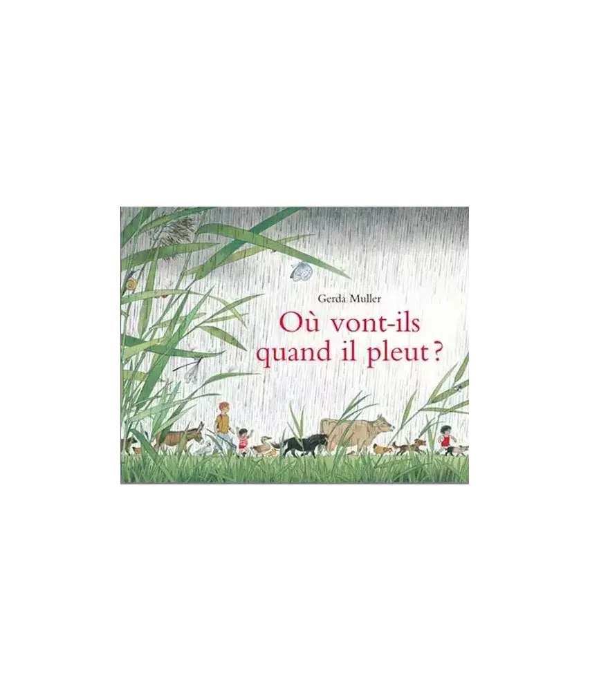 Où vont-ils quand il pleut ?