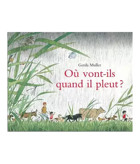 Où vont-ils quand il pleut ?
