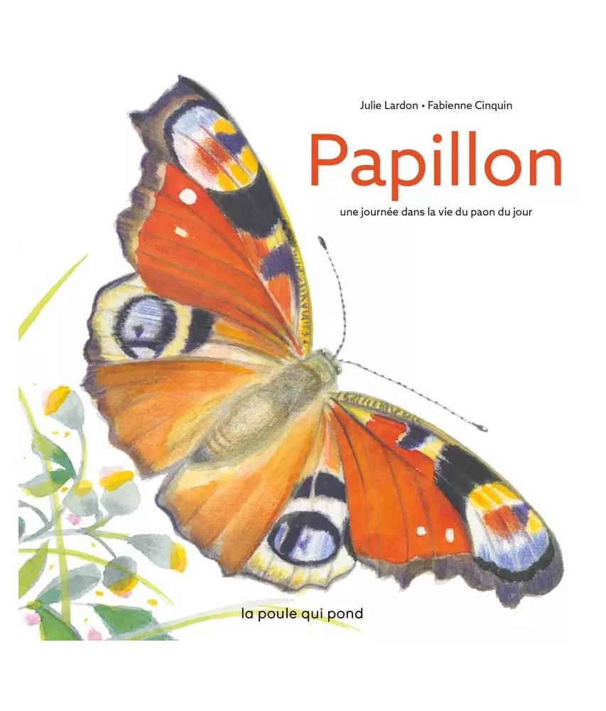 Papillon une journée dans la vie du paon du jour