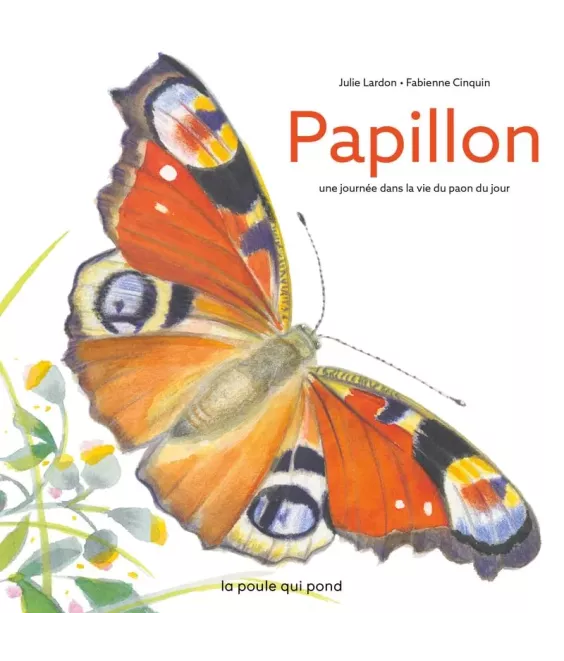 Papillon une journée dans la vie du paon du jour