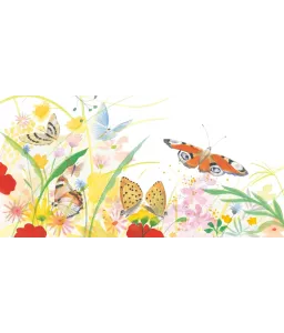 Papillon une journée dans la vie du paon du jour