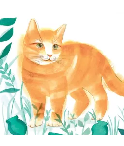Petit Chat