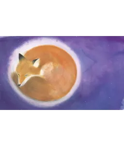 Petit Renard au clair de lune