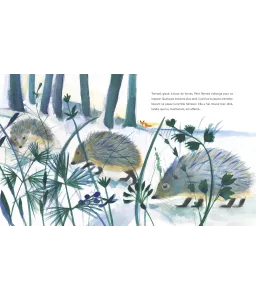 Petit Renard au clair de lune