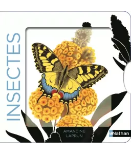 Insectes - Un livre animé avec des silhouettes dans des décors chatoyants