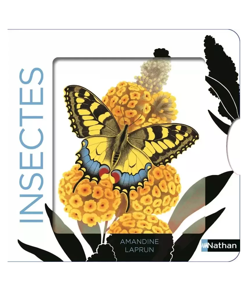 Insectes - Un livre animé avec des silhouettes dans des décors chatoyants