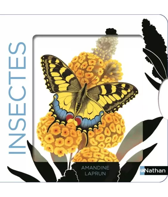 Insectes - Un livre animé avec des silhouettes dans des décors chatoyants