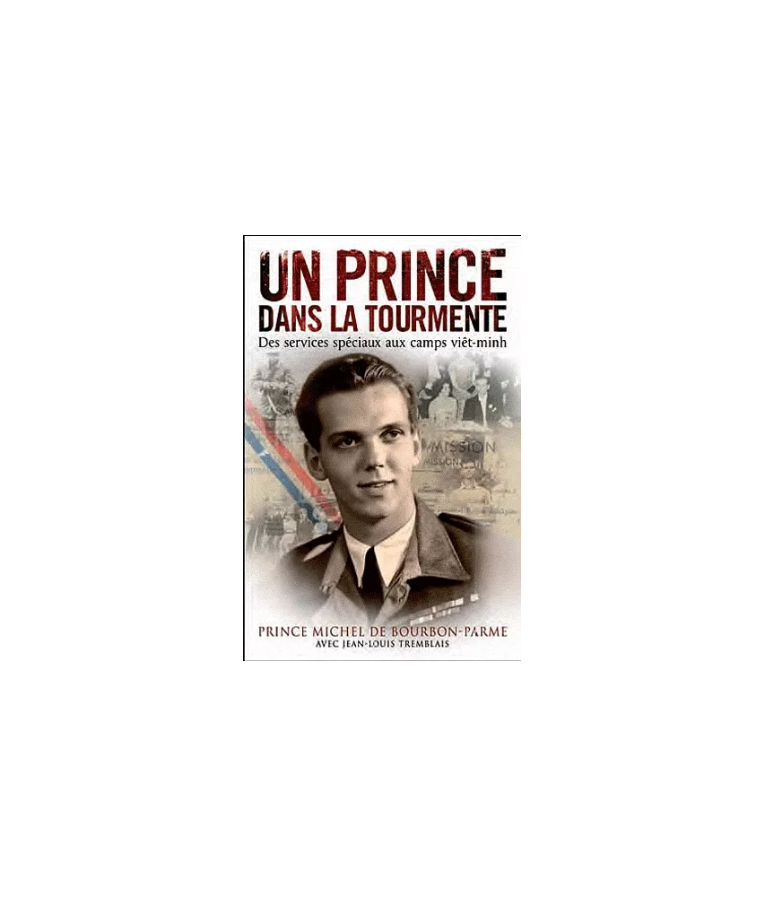 Un Prince dans la Tourmente