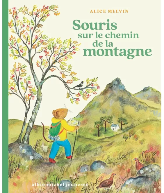 Souris sur le chemin de la montagne