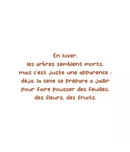 Les petites joies de l'hiver