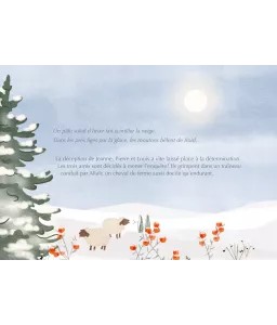 Le petit carrousel