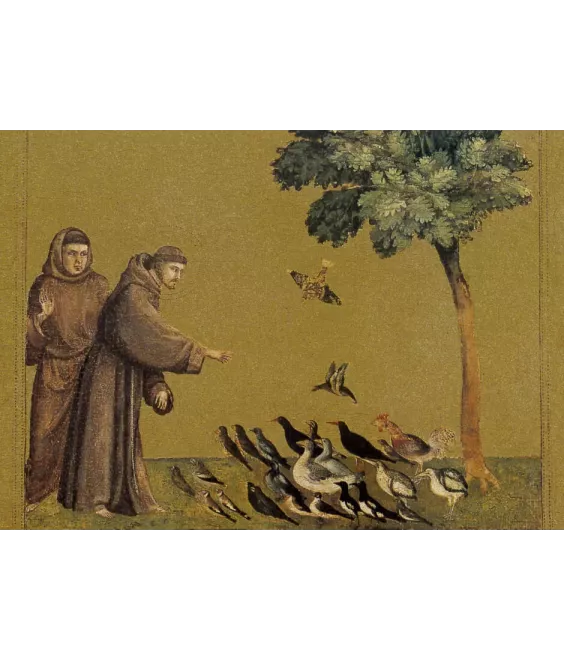 Saint François prêchant aux oiseaux N°584 CP