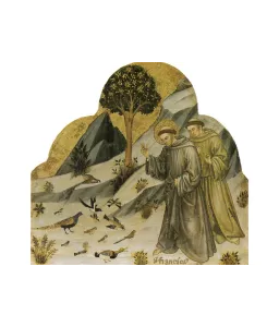Saint François prêchant aux oiseaux N°601 CP