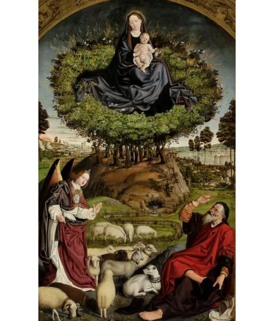 Le Buisson ardent N°561 CP